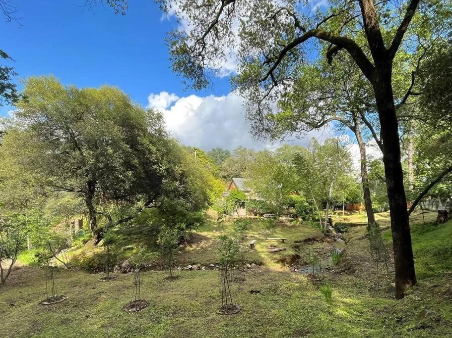 Cozy Private Home, 1 Acre Orchards Near Apple Hill Placerville Exterior foto