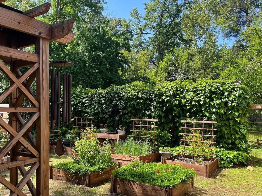 Cozy Private Home, 1 Acre Orchards Near Apple Hill Placerville Exterior foto