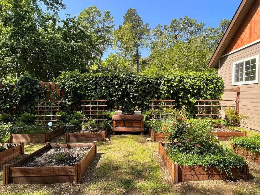 Cozy Private Home, 1 Acre Orchards Near Apple Hill Placerville Exterior foto